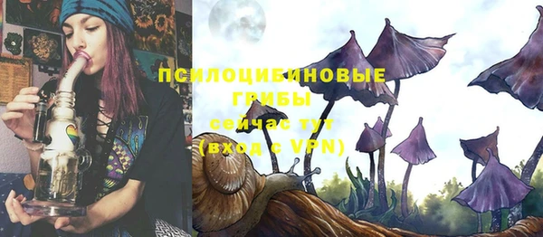 ALPHA PVP Баксан