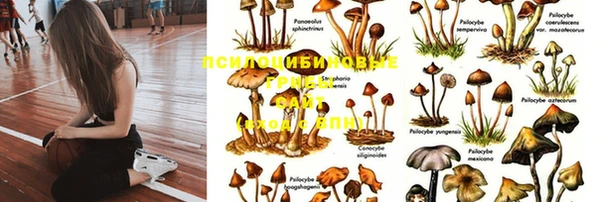 марки nbome Балахна
